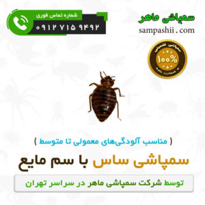 سفارش سمپاشی ساس با سم مایع