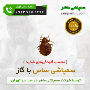 سفارش سمپاشی ساس با گاز