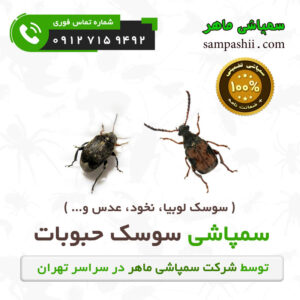 سفارش سمپاشی سوسک حبوبات