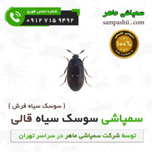 سفارش سمپاشی سوسک فرش