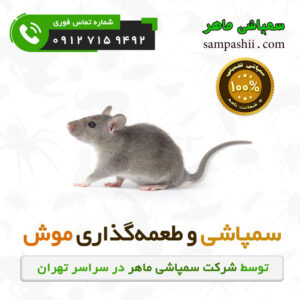 سفارش سمپاشی و طعمه‌گذاری موش