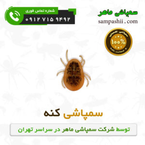 سفارش سمپاشی کنه